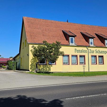 Ferienwohnungen "Zur Schamper Muehle" Gotthun Bagian luar foto