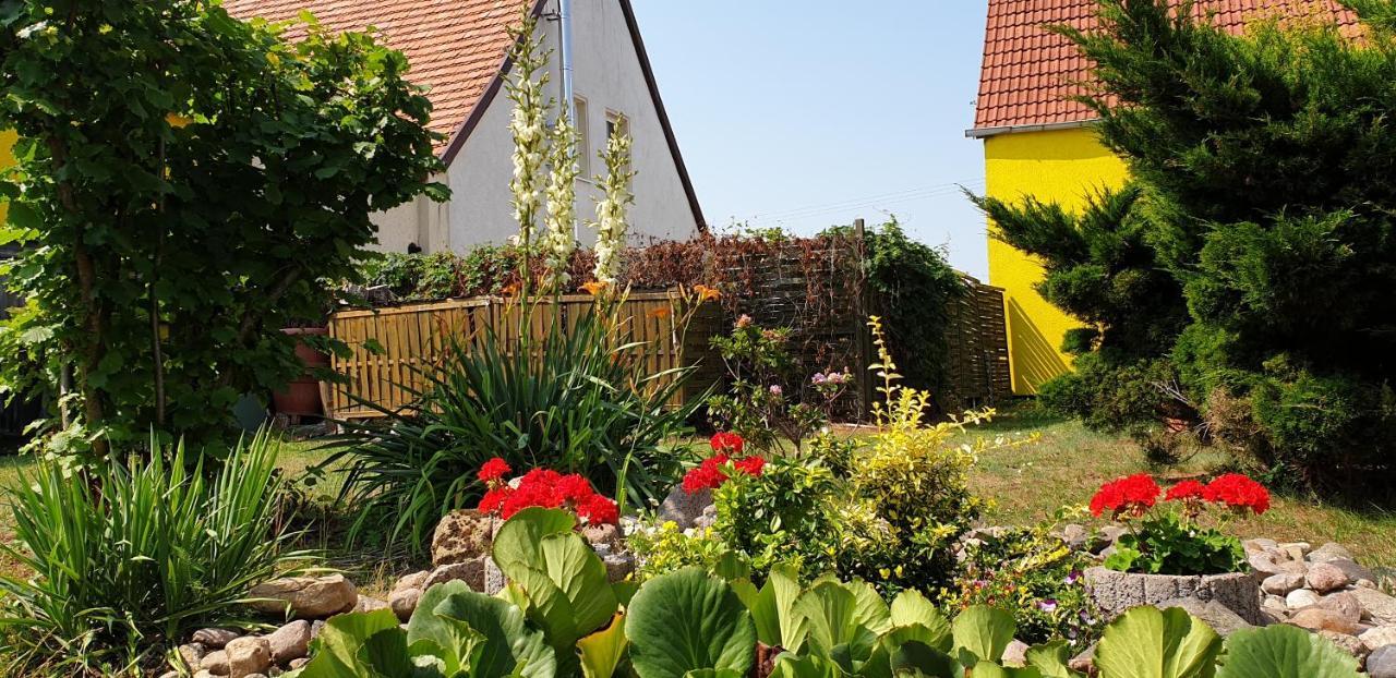 Ferienwohnungen "Zur Schamper Muehle" Gotthun Bagian luar foto